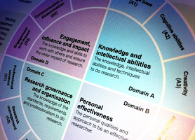 Screenshot of Vitae RDF Planner online application